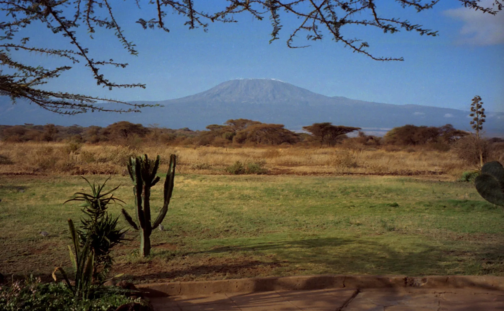 Le Kilimandjaro vu d'Amboseli