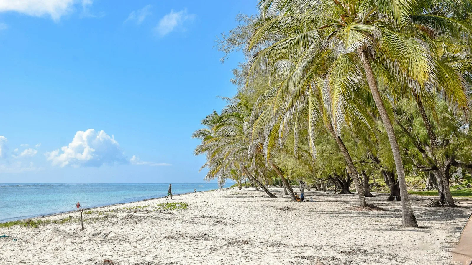 Nature et culture autour de Diani