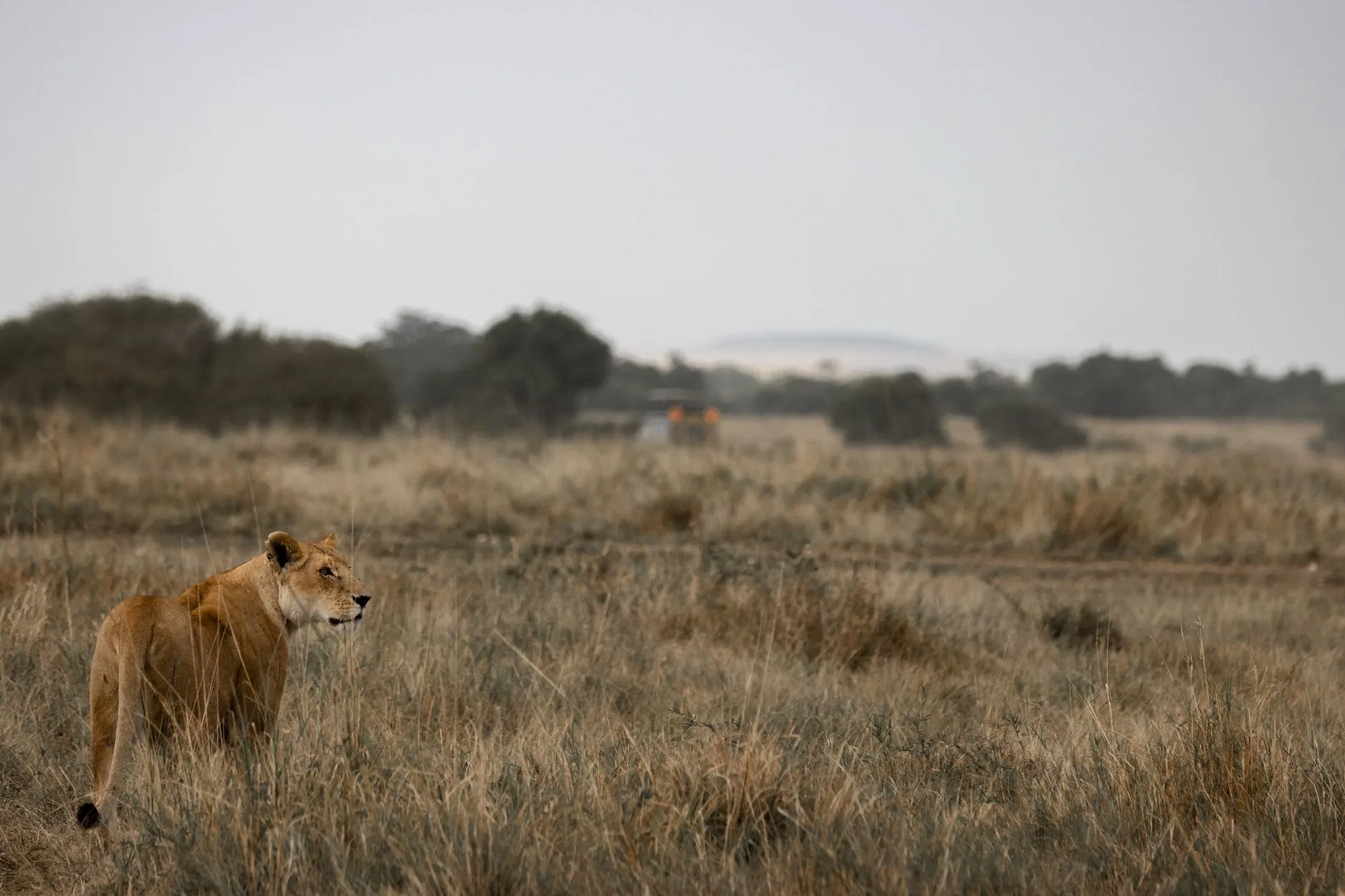 Les grandes régions du Kenya