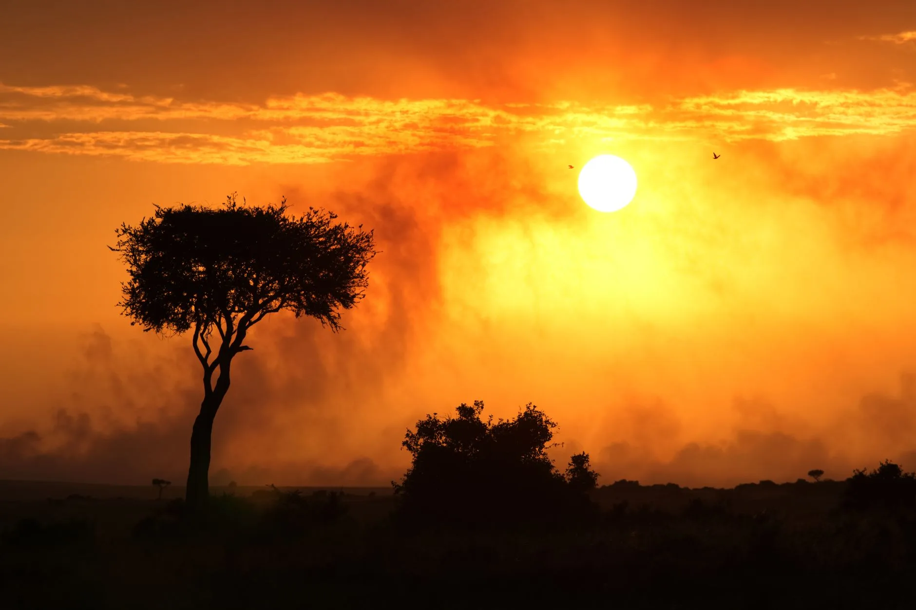 Camp de safari au coucher du soleil dans la savane kényane